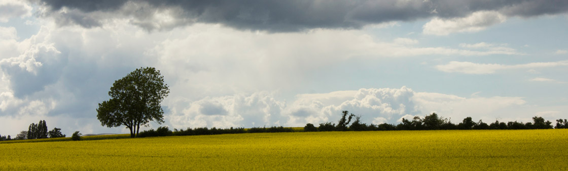 Amarna Uitvaartbegeleiding Medemblik